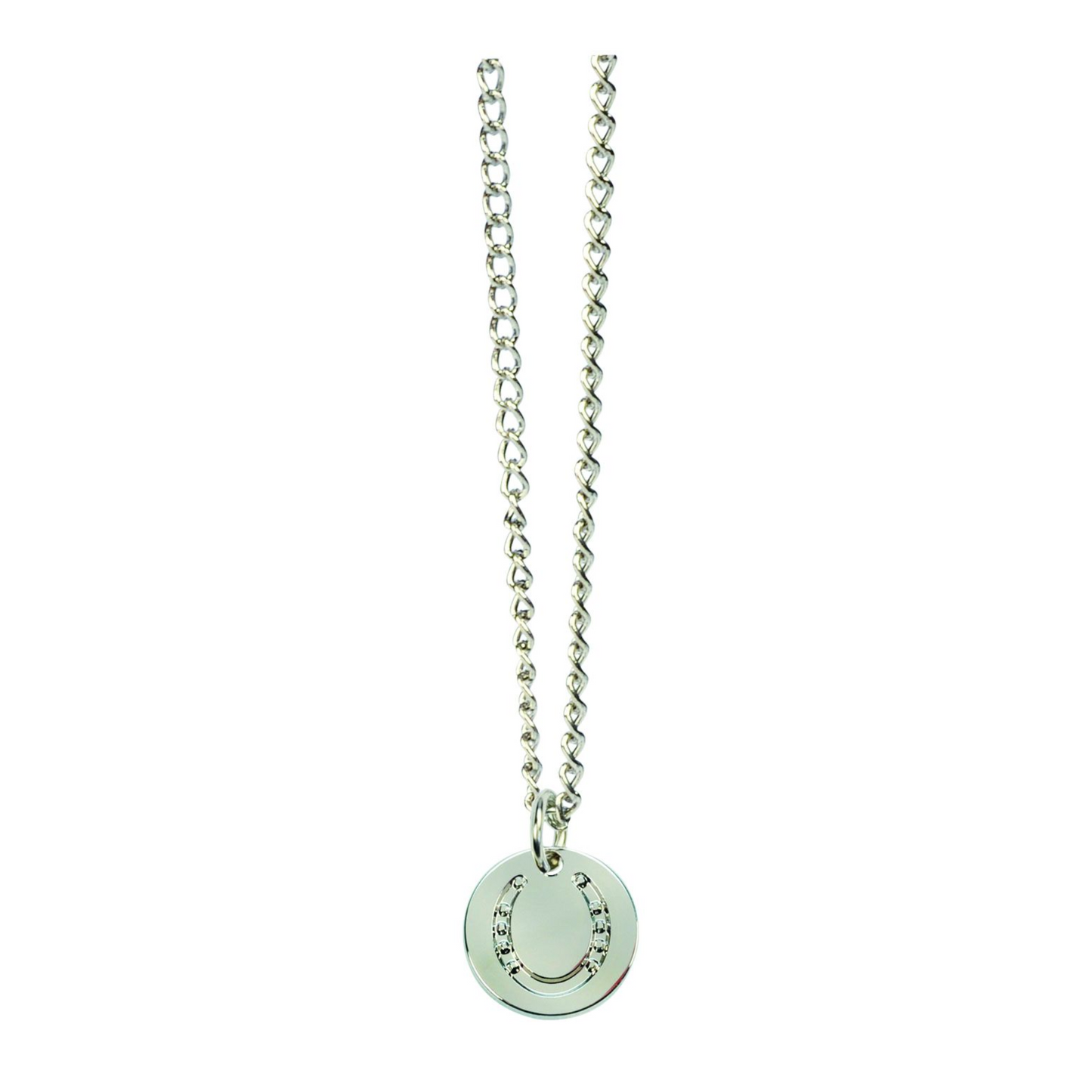 Horseshoe Pendant Necklace