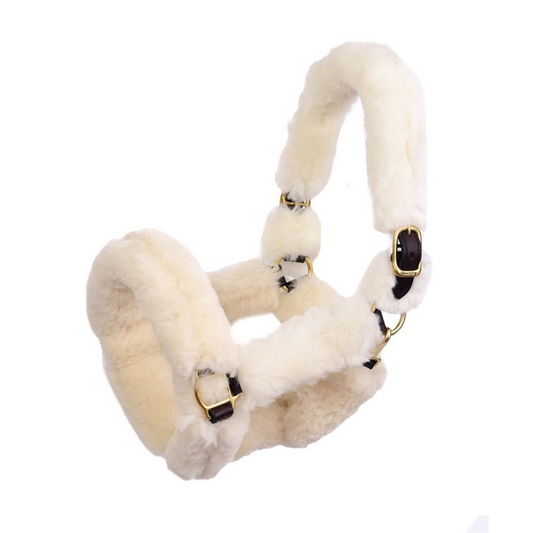 Perri's Shipping Halter