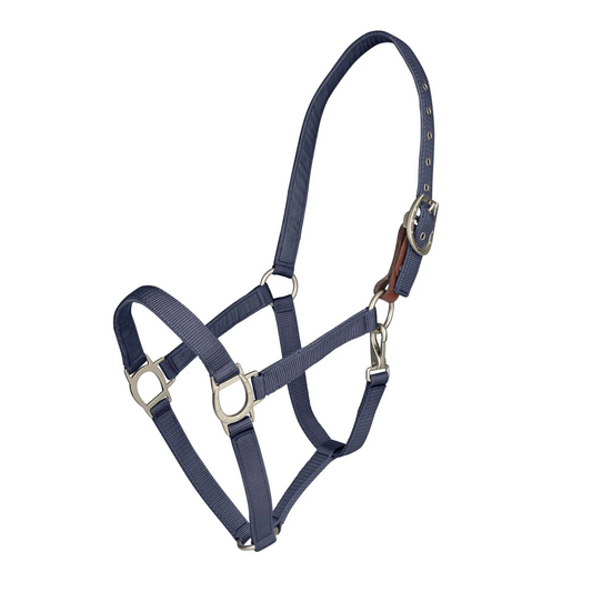Ovation Lucky Breakaway Halter