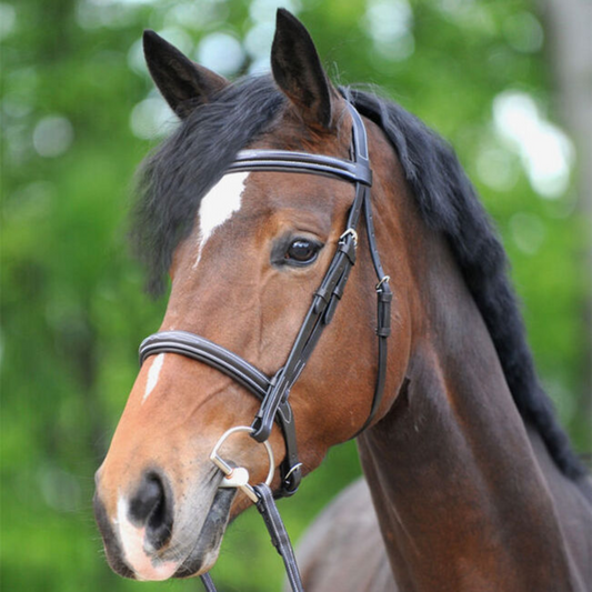 Kavalkade Hunter Bridle