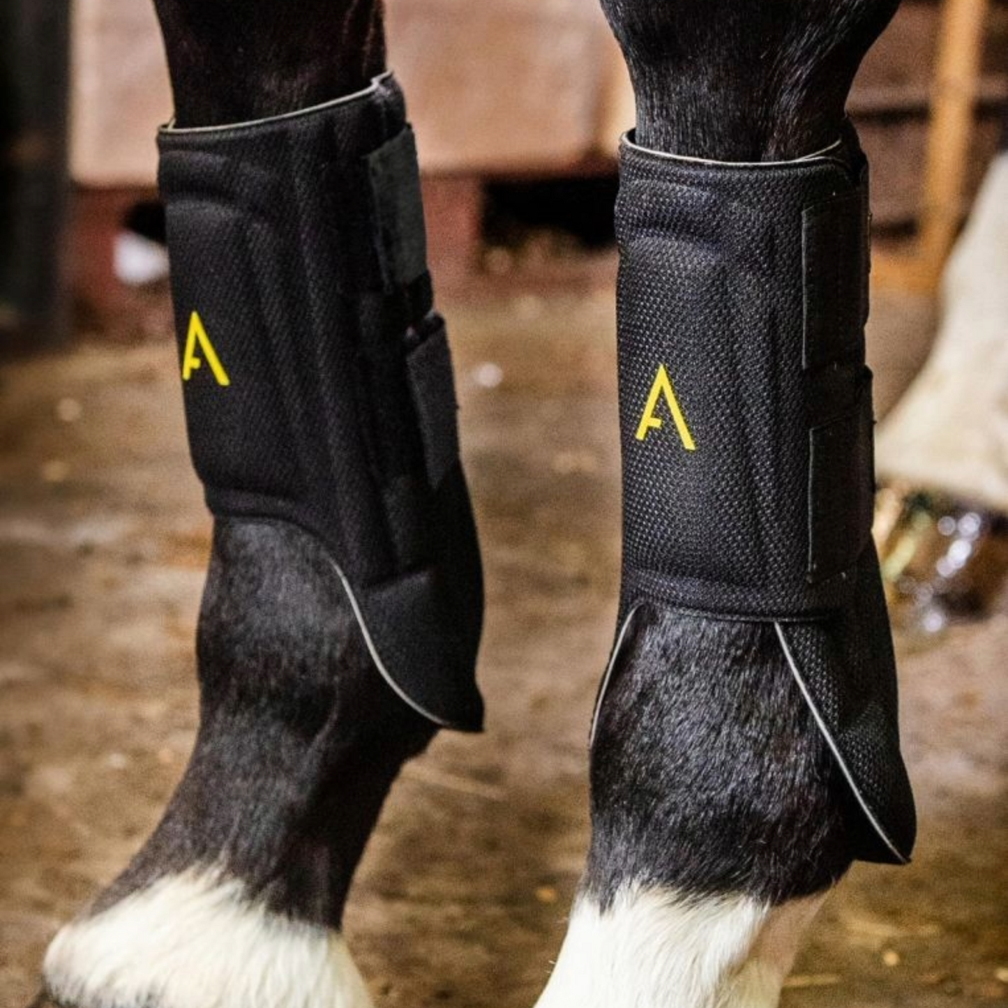 Horseware Adagio All Around Boot