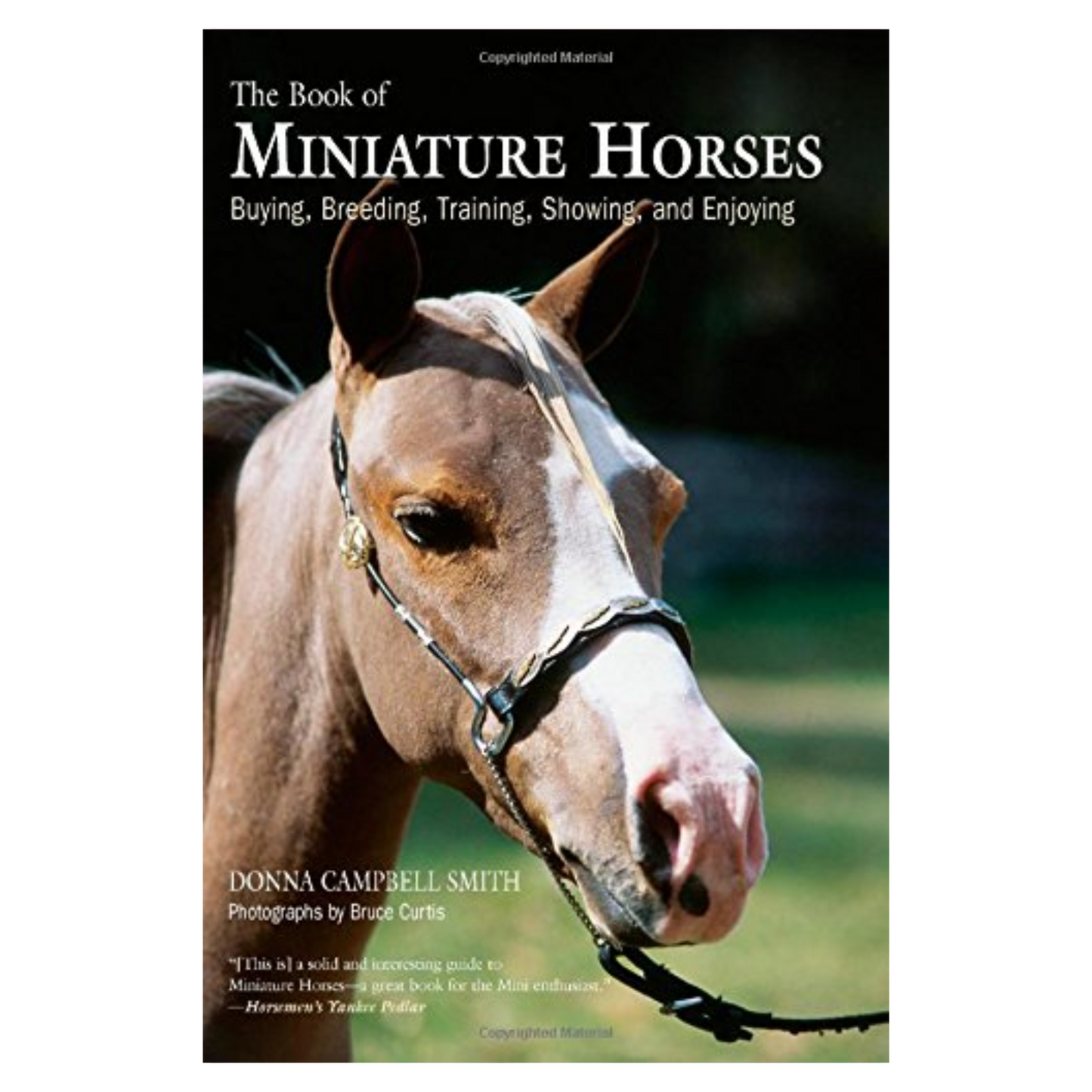 The Book of Miniature Horses