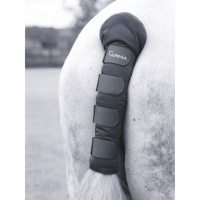 ARMA Padded Tail Guard Black