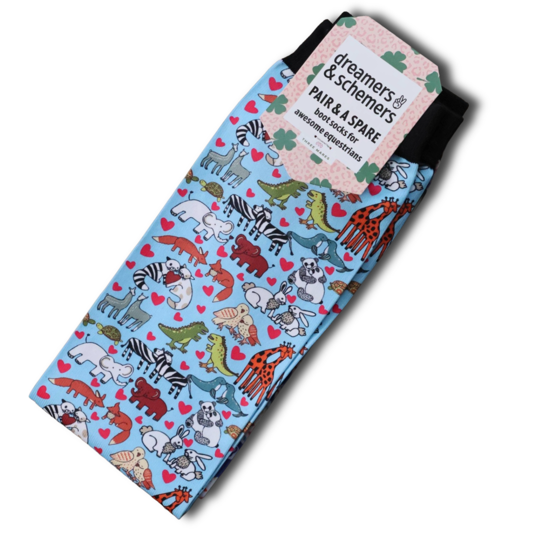 Dreamers & Schemers Youth Socks