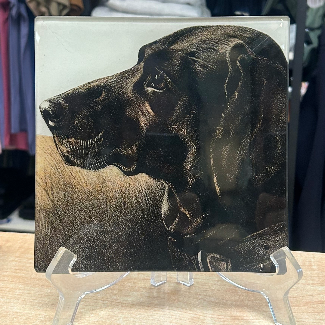 Twigs & Moss Labrador Plate