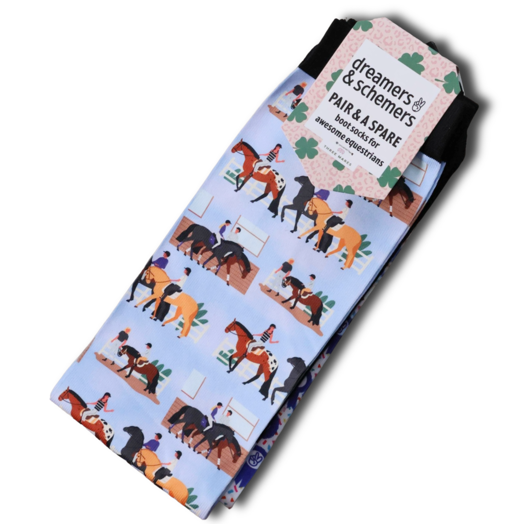 Dreamers & Schemers Socks