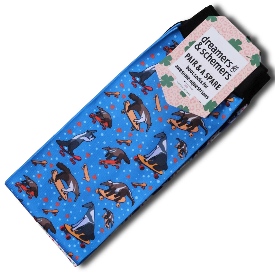 Dreamers & Schemers Socks