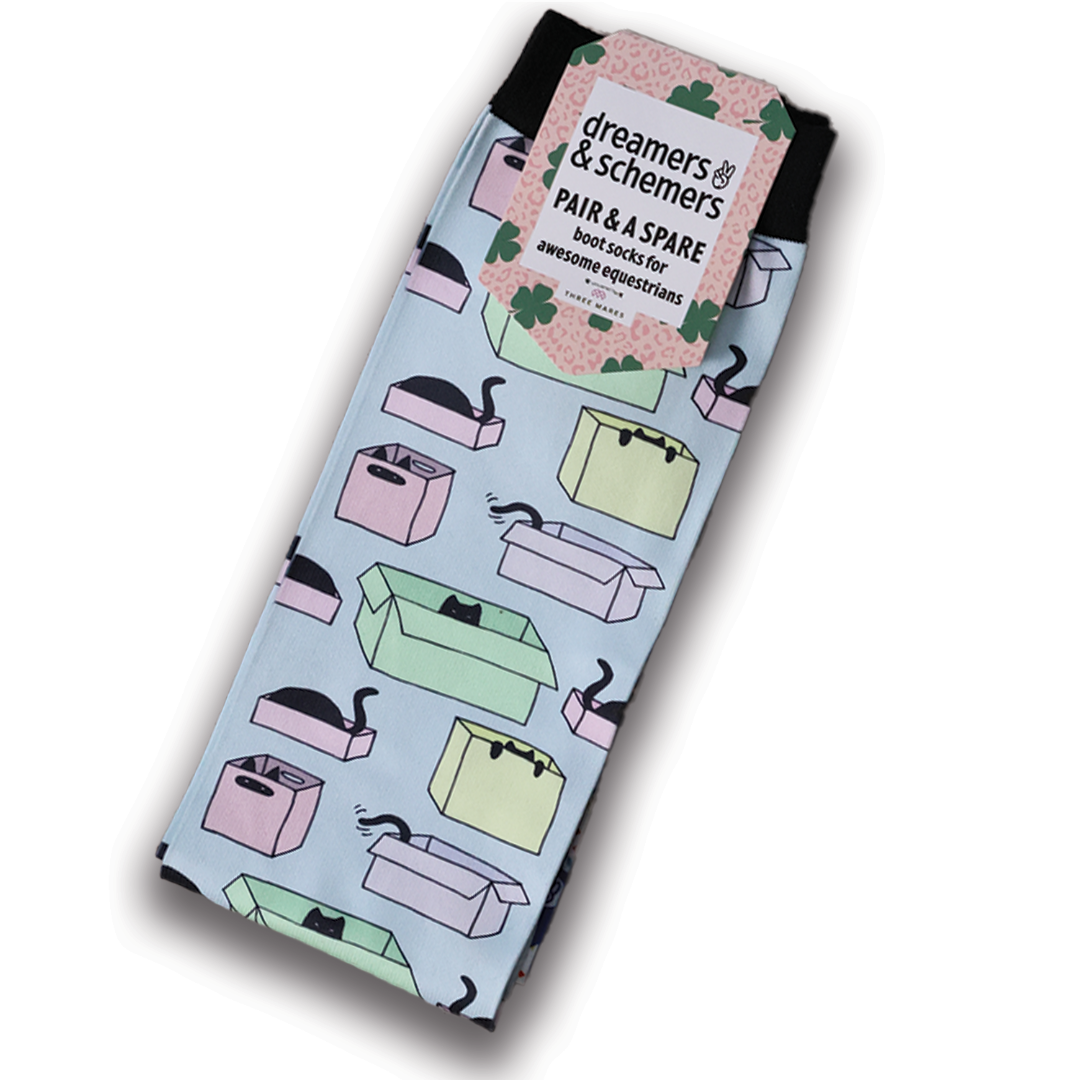 Dreamers & Schemers Socks
