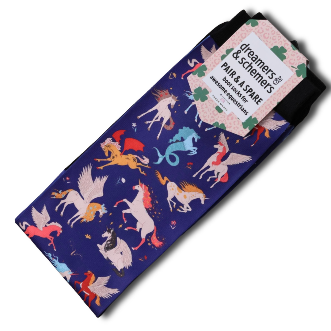 Dreamers & Schemers Socks