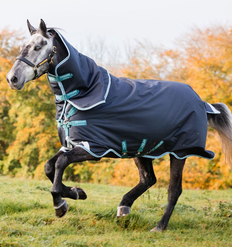 Horseware Amigo Bravo 12 Pony Plus Turnout Blanket