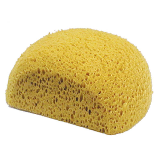 Turtle Back Sponge