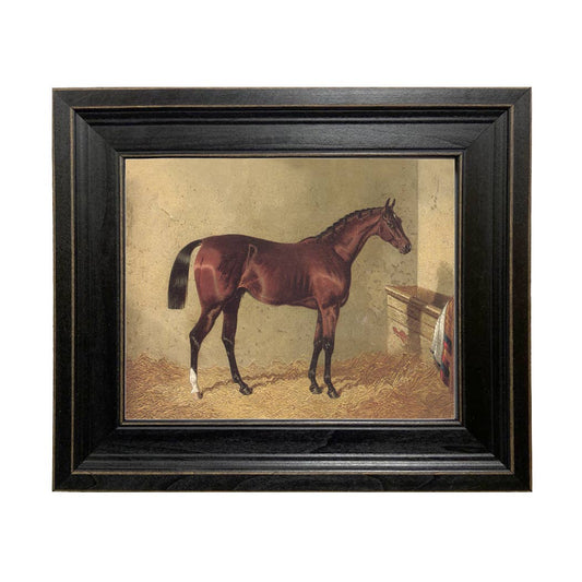 Bay Colt in Stable Vintage Painting Print on Canvas
