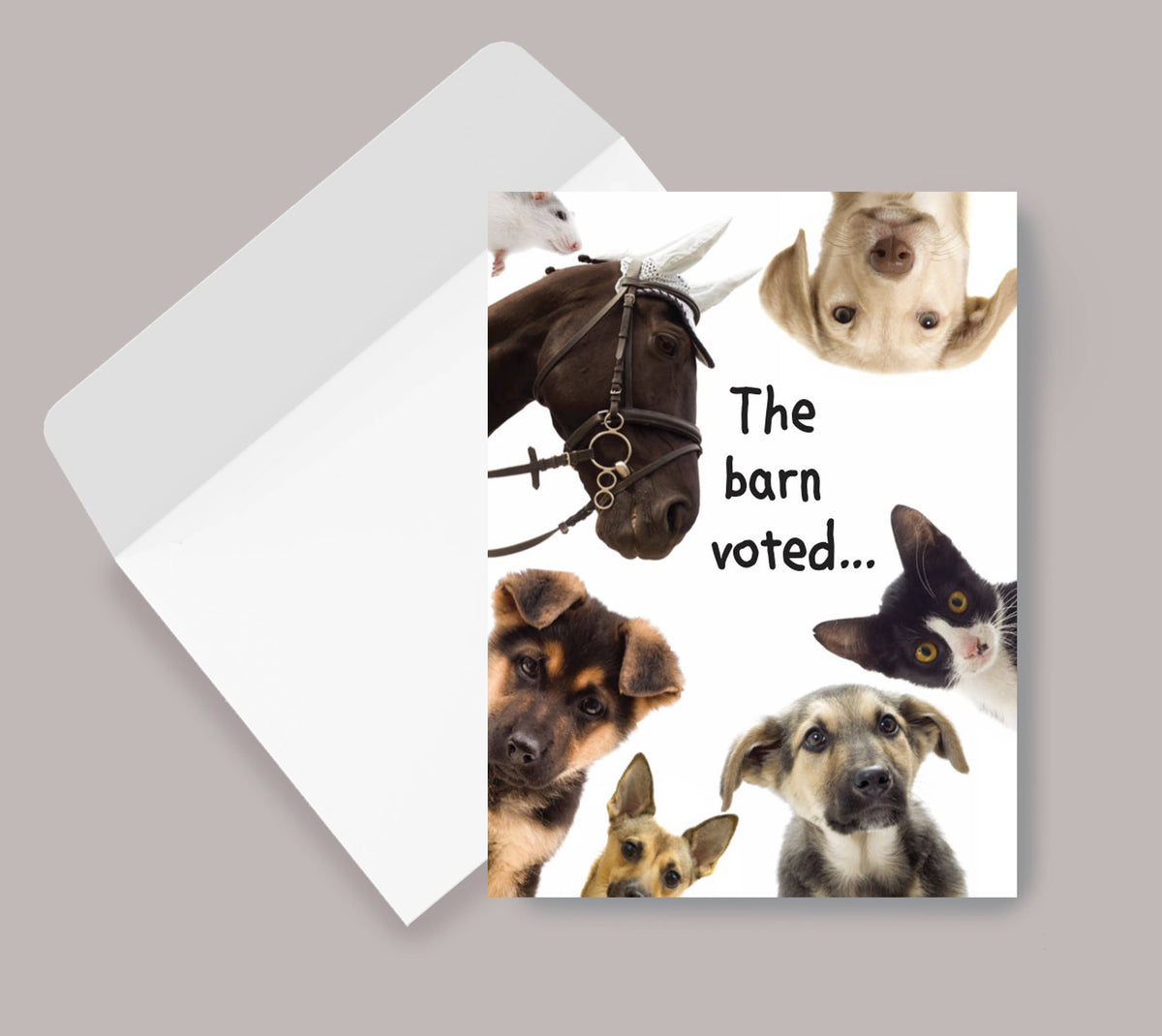 Horse Dog Birthday Card Barn Voted